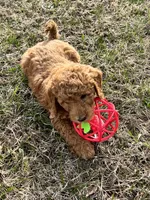 processed/77a18e2a-d640-428b-9eed-12b2fb1153e5/facility/a7aec059-12d0-4c8c-b716-64dbc93b58ee