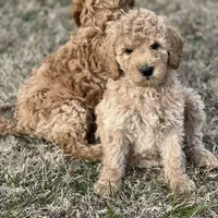 processed/77a18e2a-d640-428b-9eed-12b2fb1153e5/facility/d3e7fb7a-c13e-438d-b6bf-1dc6b6bacc1a