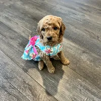 processed/77a18e2a-d640-428b-9eed-12b2fb1153e5/facility/eb642a56-0ae4-4d9f-815d-c8477f93c5d5