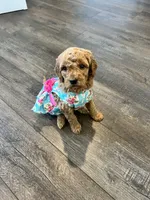 processed/77a18e2a-d640-428b-9eed-12b2fb1153e5/facility/eb642a56-0ae4-4d9f-815d-c8477f93c5d5