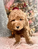 processed/77a18e2a-d640-428b-9eed-12b2fb1153e5/listing/6ff0ee95-88b8-4889-a767-d4cbbdb34e5b/20c3412a-29b7-4283-ae44-6edc60f193eb