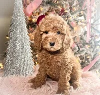 processed/77a18e2a-d640-428b-9eed-12b2fb1153e5/listing/6ff0ee95-88b8-4889-a767-d4cbbdb34e5b/2c248bd2-a024-461c-b342-0d0bd9323197