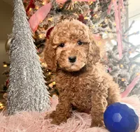 processed/77a18e2a-d640-428b-9eed-12b2fb1153e5/listing/6ff0ee95-88b8-4889-a767-d4cbbdb34e5b/a3b923d3-d6c7-46da-8a0b-cc031b0664eb