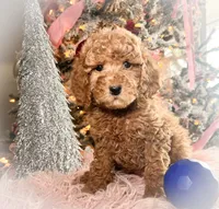 processed/77a18e2a-d640-428b-9eed-12b2fb1153e5/listing/6ff0ee95-88b8-4889-a767-d4cbbdb34e5b/deb05a1f-cf95-4704-817e-e1a6e5e9c1d8