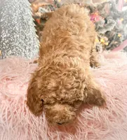 processed/77a18e2a-d640-428b-9eed-12b2fb1153e5/listing/6ff0ee95-88b8-4889-a767-d4cbbdb34e5b/e175ca21-bf20-4cfd-b276-f6876a2fe188