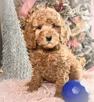 processed/77a18e2a-d640-428b-9eed-12b2fb1153e5/listing/6ff0ee95-88b8-4889-a767-d4cbbdb34e5b/ef045f8a-ab91-4918-b695-631cfb421f37