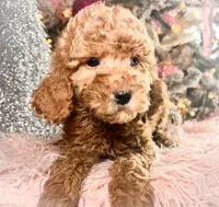 processed/77a18e2a-d640-428b-9eed-12b2fb1153e5/listing/6ff0ee95-88b8-4889-a767-d4cbbdb34e5b/fa692441-54a1-43a4-a67a-eaabcfb46977