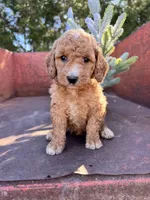 processed/77a18e2a-d640-428b-9eed-12b2fb1153e5/listing/ac6df6f0-67f0-48fd-bde1-3d2b65c5382d/4059fa8f-0887-4dbe-a35c-98b29750f20b