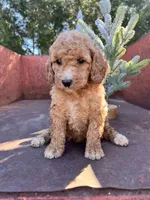 processed/77a18e2a-d640-428b-9eed-12b2fb1153e5/listing/ac6df6f0-67f0-48fd-bde1-3d2b65c5382d/42c715f3-9ca4-4433-aa2f-508ca4de80b8