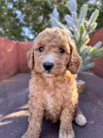 processed/77a18e2a-d640-428b-9eed-12b2fb1153e5/listing/ac6df6f0-67f0-48fd-bde1-3d2b65c5382d/4b86ab98-7a2d-4726-8de8-d575d77a3d7d