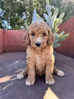 processed/77a18e2a-d640-428b-9eed-12b2fb1153e5/listing/ac6df6f0-67f0-48fd-bde1-3d2b65c5382d/5abc60b3-7ea0-40ad-b390-61147dbaf9ad