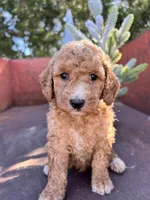 processed/77a18e2a-d640-428b-9eed-12b2fb1153e5/listing/ac6df6f0-67f0-48fd-bde1-3d2b65c5382d/bcbe4369-55b6-489d-bd90-c177675781e6