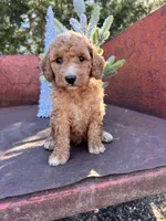 processed/77a18e2a-d640-428b-9eed-12b2fb1153e5/listing/ac6df6f0-67f0-48fd-bde1-3d2b65c5382d/c01de3b2-83f8-46de-a88c-244f5735e125