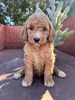 processed/77a18e2a-d640-428b-9eed-12b2fb1153e5/listing/ac6df6f0-67f0-48fd-bde1-3d2b65c5382d/ccd4ee94-0717-436a-abb8-6551444ab8f4