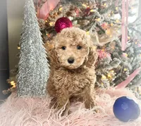 processed/77a18e2a-d640-428b-9eed-12b2fb1153e5/listing/afcbc10e-3fb0-42a1-95fe-580caf914041/3fc43655-e5cb-46d3-8f0e-2e87713788c6