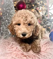 processed/77a18e2a-d640-428b-9eed-12b2fb1153e5/listing/afcbc10e-3fb0-42a1-95fe-580caf914041/4d3c825d-c005-46d3-98e8-0f5f3b85ccf5