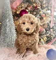 processed/77a18e2a-d640-428b-9eed-12b2fb1153e5/listing/afcbc10e-3fb0-42a1-95fe-580caf914041/94e332d8-6926-4729-8286-436d02c008c9