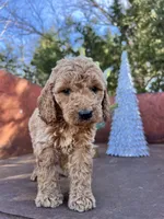 processed/77a18e2a-d640-428b-9eed-12b2fb1153e5/listing/e28284e3-6ed1-4ad7-957d-0599a60757ca/32c448d4-a7b2-45aa-b459-82167fe55710