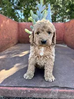 processed/77a18e2a-d640-428b-9eed-12b2fb1153e5/listing/e28284e3-6ed1-4ad7-957d-0599a60757ca/53ab2031-01db-477e-9e62-7c725bac50c4