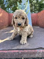 processed/77a18e2a-d640-428b-9eed-12b2fb1153e5/listing/e28284e3-6ed1-4ad7-957d-0599a60757ca/77b9b19d-d179-47ba-a036-a138acc718a7