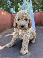 processed/77a18e2a-d640-428b-9eed-12b2fb1153e5/listing/e28284e3-6ed1-4ad7-957d-0599a60757ca/a5ad6abd-9e7c-4e0e-8ede-880749c587d2