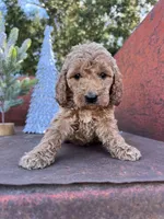 processed/77a18e2a-d640-428b-9eed-12b2fb1153e5/listing/e28284e3-6ed1-4ad7-957d-0599a60757ca/a93d6066-f5cd-48c9-add7-0e7f67ead291