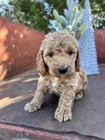 processed/77a18e2a-d640-428b-9eed-12b2fb1153e5/listing/e28284e3-6ed1-4ad7-957d-0599a60757ca/cbb586e4-9e8d-4585-8207-5abfb9045f30