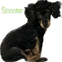 processed/77c54d87-f854-4b80-a274-585c4c7a756d/facility/1c7a31d5-266c-45ae-b648-5d14a34033ca