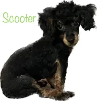 processed/77c54d87-f854-4b80-a274-585c4c7a756d/facility/1c7a31d5-266c-45ae-b648-5d14a34033ca