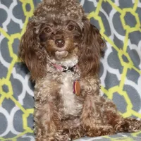 processed/77c54d87-f854-4b80-a274-585c4c7a756d/facility/44bb547e-e8b7-4be7-a00a-58c1b8565174