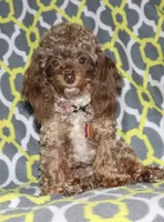 processed/77c54d87-f854-4b80-a274-585c4c7a756d/facility/44bb547e-e8b7-4be7-a00a-58c1b8565174