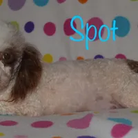 processed/77c54d87-f854-4b80-a274-585c4c7a756d/facility/46c738f4-60d2-48bc-ae89-9ede5ba193f4