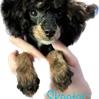 processed/77c54d87-f854-4b80-a274-585c4c7a756d/facility/6f135d3e-0b0f-49c8-ae93-95d2856d1afb