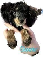 processed/77c54d87-f854-4b80-a274-585c4c7a756d/facility/6f135d3e-0b0f-49c8-ae93-95d2856d1afb