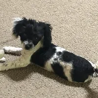 processed/77c54d87-f854-4b80-a274-585c4c7a756d/facility/772dd218-d5d1-4069-943b-2902e504c7b4