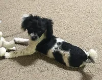 processed/77c54d87-f854-4b80-a274-585c4c7a756d/facility/772dd218-d5d1-4069-943b-2902e504c7b4