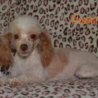 processed/77c54d87-f854-4b80-a274-585c4c7a756d/facility/b4e561c2-6781-46b8-bdf1-18af42e209aa