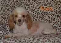 processed/77c54d87-f854-4b80-a274-585c4c7a756d/facility/b4e561c2-6781-46b8-bdf1-18af42e209aa