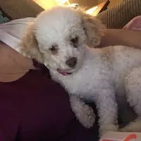 processed/77c54d87-f854-4b80-a274-585c4c7a756d/facility/e4adef9b-2b2c-4b42-83ef-a5713d513a0c