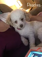 processed/77c54d87-f854-4b80-a274-585c4c7a756d/facility/e4adef9b-2b2c-4b42-83ef-a5713d513a0c