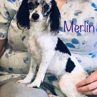 processed/77c54d87-f854-4b80-a274-585c4c7a756d/facility/e699f087-09a4-421a-984b-ab59b5a4a076