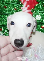 processed/77d22939-d4aa-4257-81c7-a37576a086f7/listing/1a2cf710-b4d1-48a1-9d77-3f5f4d949f62/f92ef661-95c4-4001-b957-4a70c6a2f73e