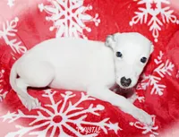 processed/77d22939-d4aa-4257-81c7-a37576a086f7/listing/4ad177ed-9116-4d52-8246-4798d38c1e64/0c165235-cfa0-4a26-928b-bb855dc24b55