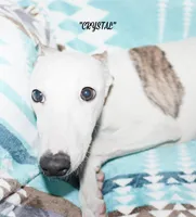 processed/77d22939-d4aa-4257-81c7-a37576a086f7/listing/4ad177ed-9116-4d52-8246-4798d38c1e64/2f88fce9-79ec-4a02-9751-90a2f8955093