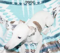 processed/77d22939-d4aa-4257-81c7-a37576a086f7/listing/4ad177ed-9116-4d52-8246-4798d38c1e64/56ae5b11-0ca5-41fe-8e32-71bfa4007616