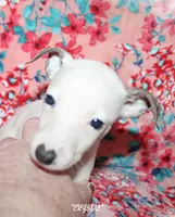 processed/77d22939-d4aa-4257-81c7-a37576a086f7/listing/4ad177ed-9116-4d52-8246-4798d38c1e64/58495e07-6a50-45e0-a189-76c6fa184db2