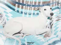 processed/77d22939-d4aa-4257-81c7-a37576a086f7/listing/4ad177ed-9116-4d52-8246-4798d38c1e64/853b1993-4a86-476f-a1c5-a50b3021a9dc