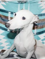 processed/77d22939-d4aa-4257-81c7-a37576a086f7/listing/4ad177ed-9116-4d52-8246-4798d38c1e64/d0190917-6d6e-4c7b-837b-c2d6c252a99e