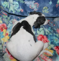 processed/77d22939-d4aa-4257-81c7-a37576a086f7/listing/67414ac0-d1ec-4887-a5c4-8a569ad1a3ea/168527e0-7de3-4b67-92ab-10035fe077ca