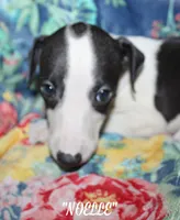 processed/77d22939-d4aa-4257-81c7-a37576a086f7/listing/67414ac0-d1ec-4887-a5c4-8a569ad1a3ea/1b286f01-bd2b-42f6-8783-2bd030a1c2fe